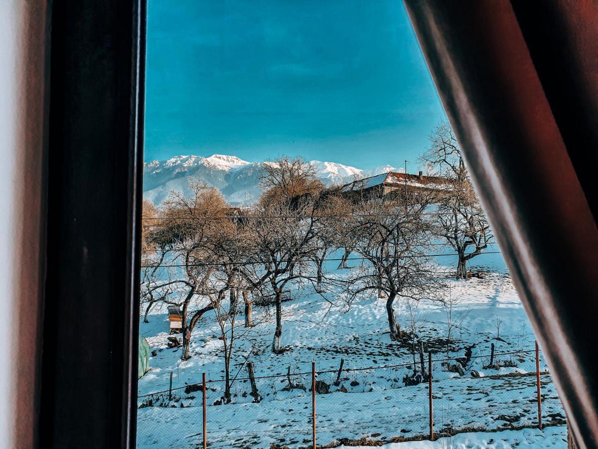 Transylvania Mountain View Cdi Ξενοδοχείο Μπραν Εξωτερικό φωτογραφία