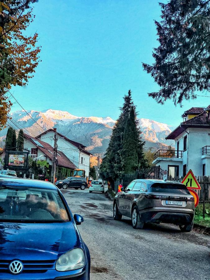 Transylvania Mountain View Cdi Ξενοδοχείο Μπραν Εξωτερικό φωτογραφία