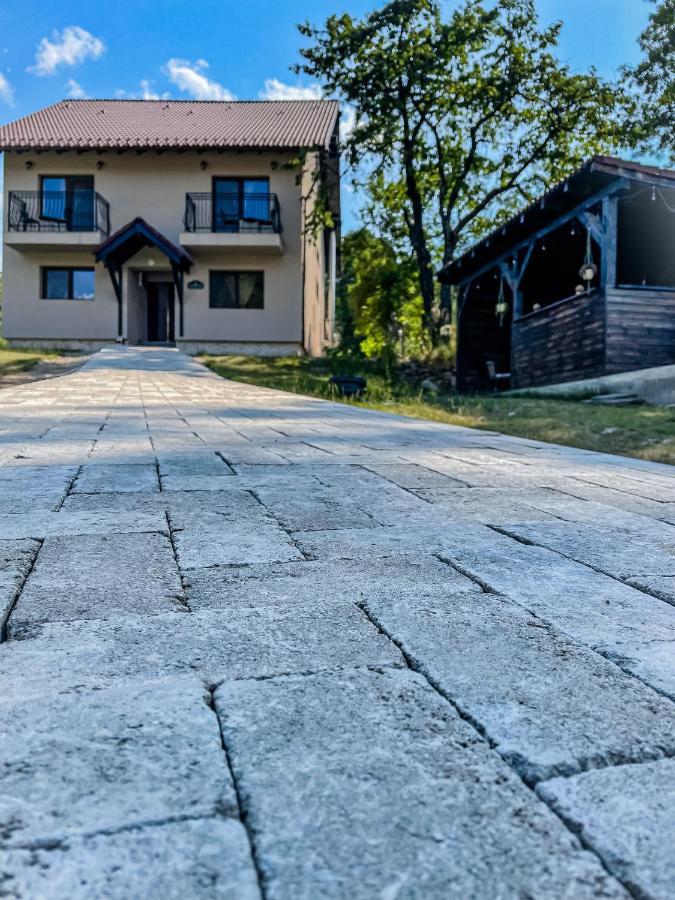 Transylvania Mountain View Cdi Μπραν Εξωτερικό φωτογραφία