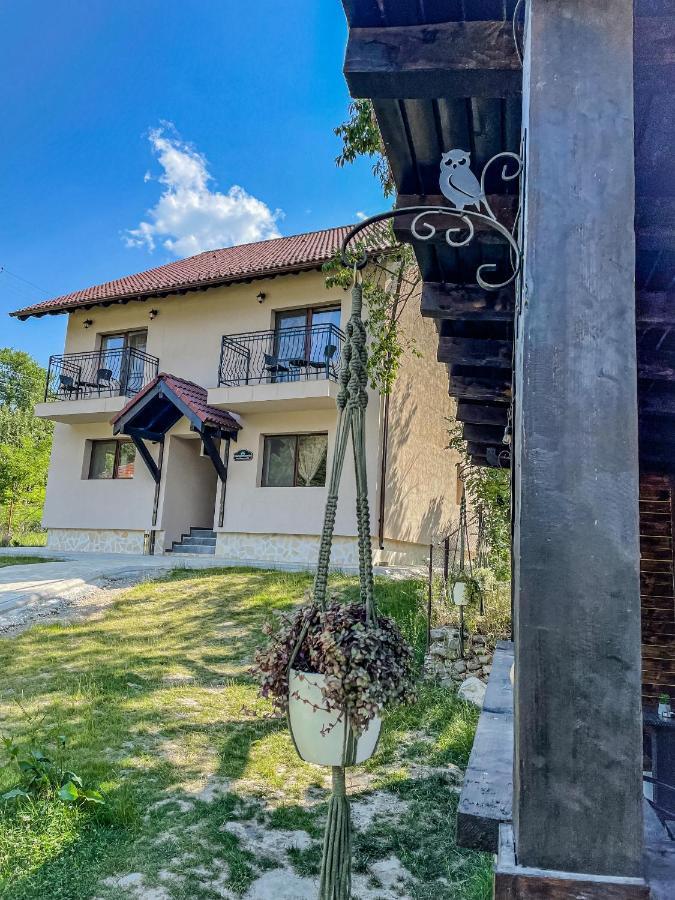 Transylvania Mountain View Cdi Μπραν Εξωτερικό φωτογραφία
