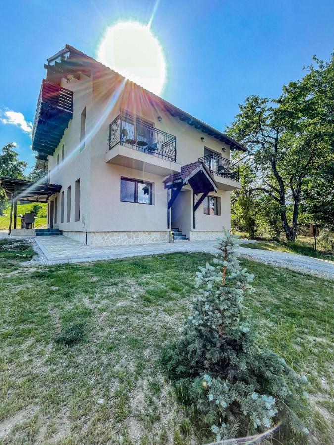 Transylvania Mountain View Cdi Μπραν Εξωτερικό φωτογραφία