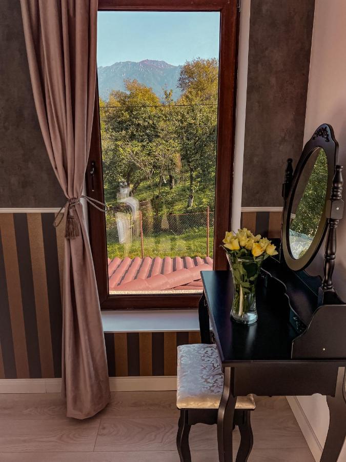Transylvania Mountain View Cdi Μπραν Εξωτερικό φωτογραφία