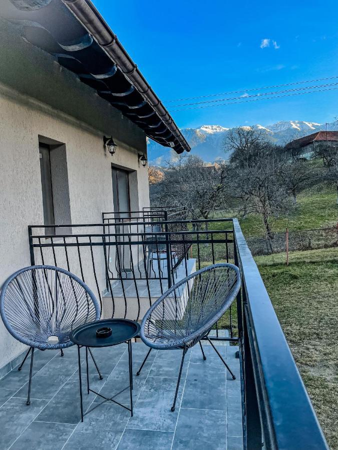 Transylvania Mountain View Cdi Μπραν Εξωτερικό φωτογραφία