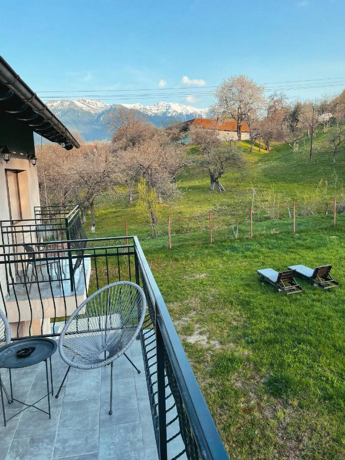 Transylvania Mountain View Cdi Μπραν Εξωτερικό φωτογραφία