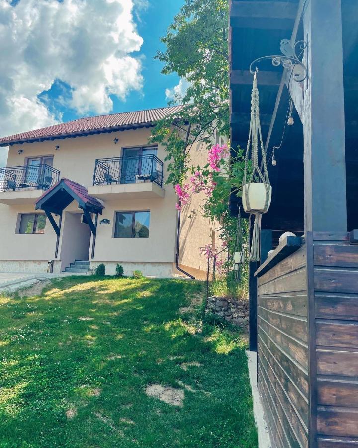 Transylvania Mountain View Cdi Μπραν Εξωτερικό φωτογραφία