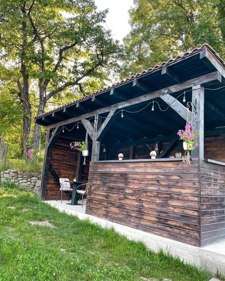 Transylvania Mountain View Cdi Μπραν Εξωτερικό φωτογραφία