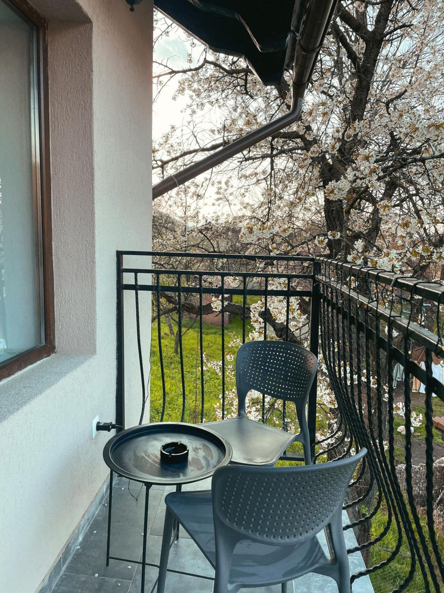 Transylvania Mountain View Cdi Μπραν Δωμάτιο φωτογραφία