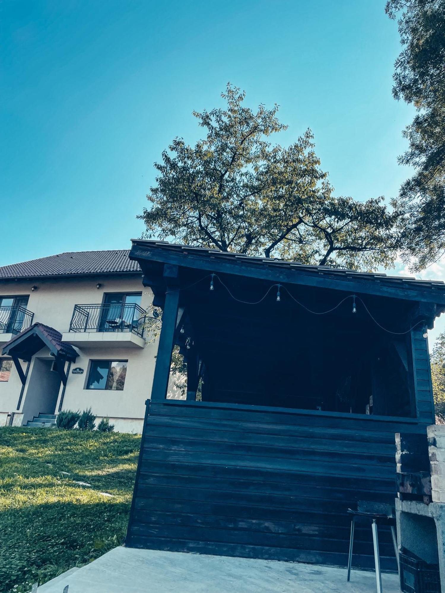 Transylvania Mountain View Cdi Ξενοδοχείο Μπραν Εξωτερικό φωτογραφία